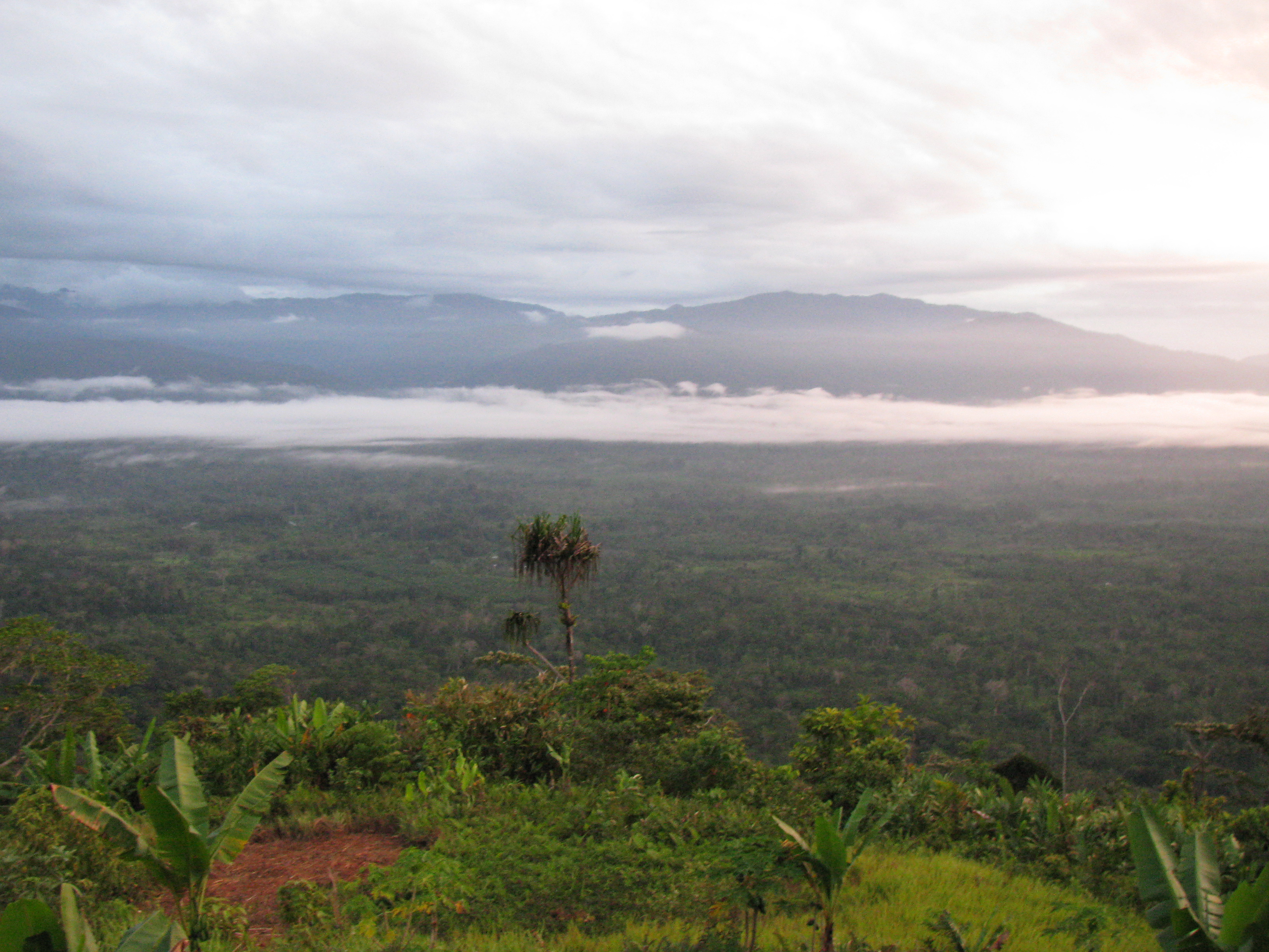 guinea-s-ebola-virus-outbreak-connecting-the-classroom-to-current